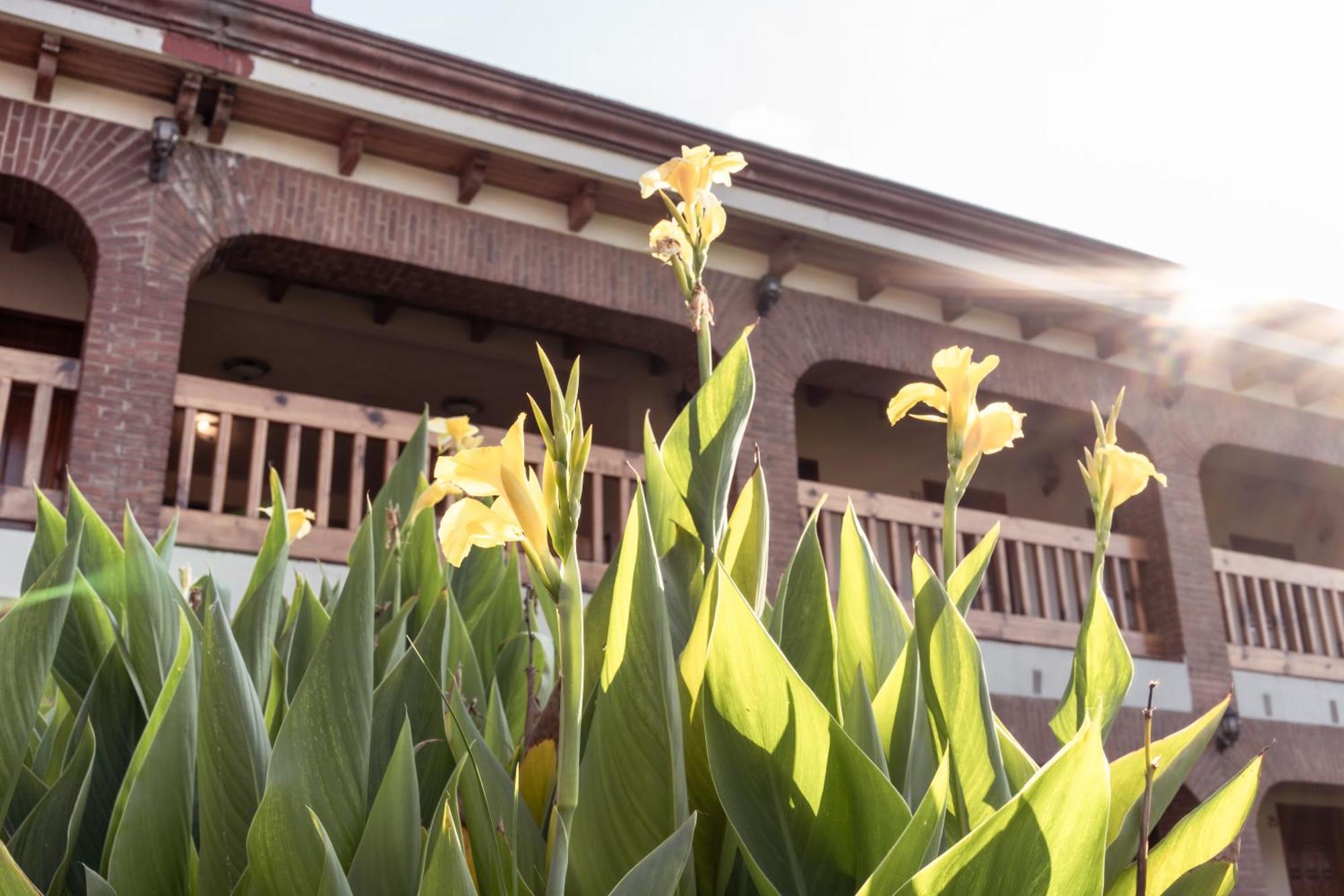 Hotel La Casona Jilotepec de Abasolo Εξωτερικό φωτογραφία